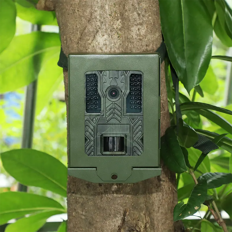 Почему охотники обновляются до 4K Trail Cameras в этом сезоне?